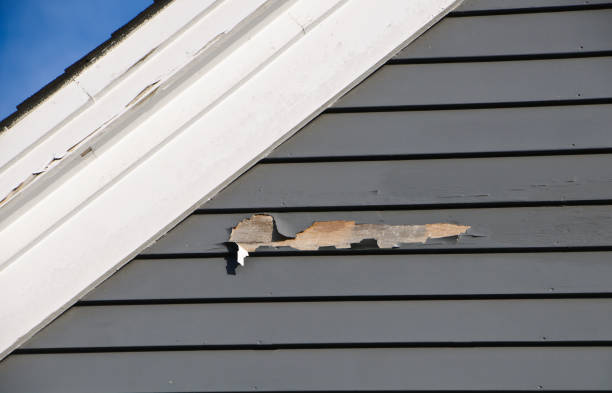 Best Vinyl Siding Installation  in Newkirk, OK